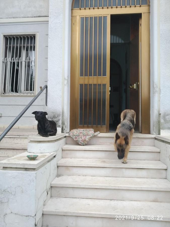 Chez Martha Bed & Breakfast Верона Екстериор снимка