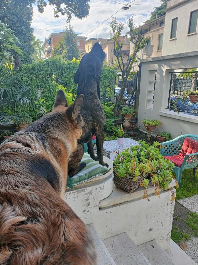 Chez Martha Bed & Breakfast Верона Екстериор снимка